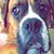 Teri Brock Serowoky's profile image
