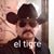 Alberto Missael Campos Tigre's profile image