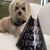 Linda Hughett Honikman's profile image