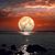 فردوس صندوقه's profile image