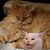 Jody Myles Spahr's profile image