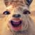 Tamatha Hartley's profile image