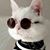 Claudia Trautwein's profile image