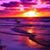 Kristin Smith's profile image