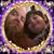 Andrew Steven Gonzales's profile image