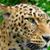 Carlos Lopez's profile image