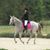 Rhonda McQueen Scibal's profile image