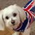 Rhonda Spruiell's profile image
