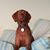 Michelle Miller's profile image