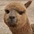 Kathy Herman's profile image