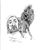 Steve Marsh's profile image