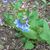 Sue Otwell's profile image
