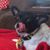Shireen Mehta's profile image