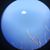 Michelle Brochtrup's profile image