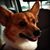 Carrie Hooker Faires's profile image