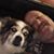 William M. Cassidy's profile image