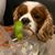 Gina Marie's profile image