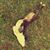 Hien Do's profile image
