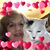 Donna Powley Woleben's profile image