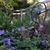 Marcia Wiens's profile image