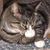 Gene Fortin's profile image