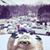 Tabitha Hale's profile image