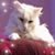 Donna Arseneau Stuart's profile image