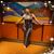 Natasha Fields's profile image
