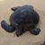 Kim Scott's profile image