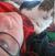 Amy Elizabeth's profile image