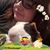 Alisha Metzger's profile image