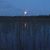 Park Rapids Bass Club's profile image