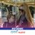 Geri Lazzaro's profile image
