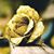 Karen R Sgro McDonough's profile image