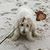 Austin Keith Jennings's profile image