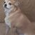 Tanner Webster's profile image