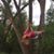 Liz Hock Haralson's profile image