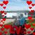 Kathy Wallace's profile image
