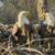 Helen Hensley's profile image