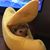 Tony Colunga's profile image