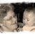 Linda Jiles Yeary's profile image
