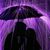 Susan Kurowsky's profile image