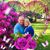 Lois McAneny's profile image