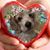 Vanessa Tatiana Feijoo Franco's profile image