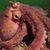 Sally Edwards's profile image