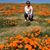 Nishi Lal's profile image