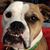 Missy Russell's profile image