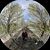 Mark Madere's profile image