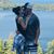 M.j. LaMonica's profile image