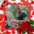 Mark R Frick's profile image